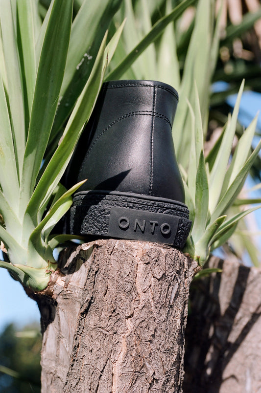 Kogi Black Palm