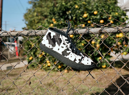 Kogi Western Cow